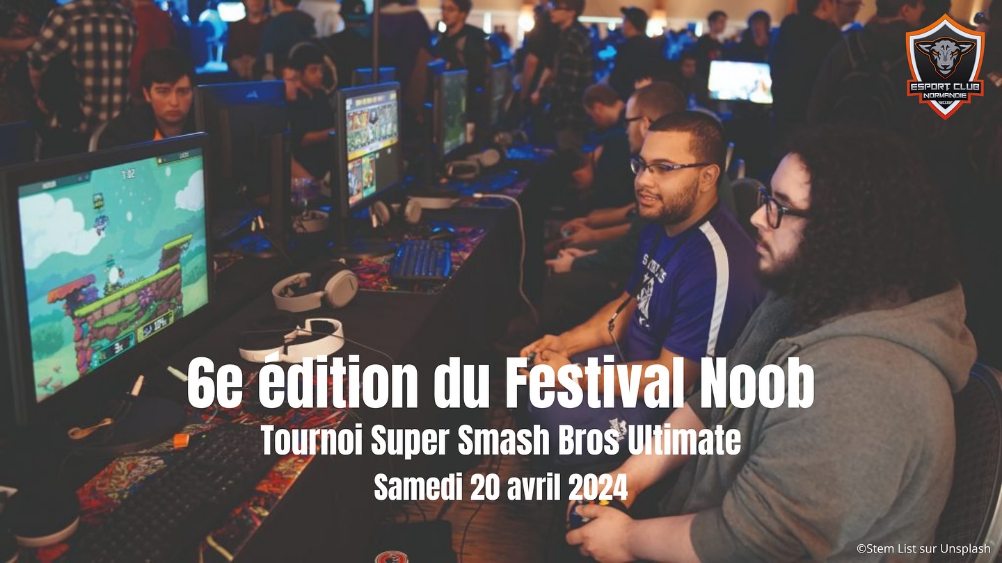 Affiche Festival Noob