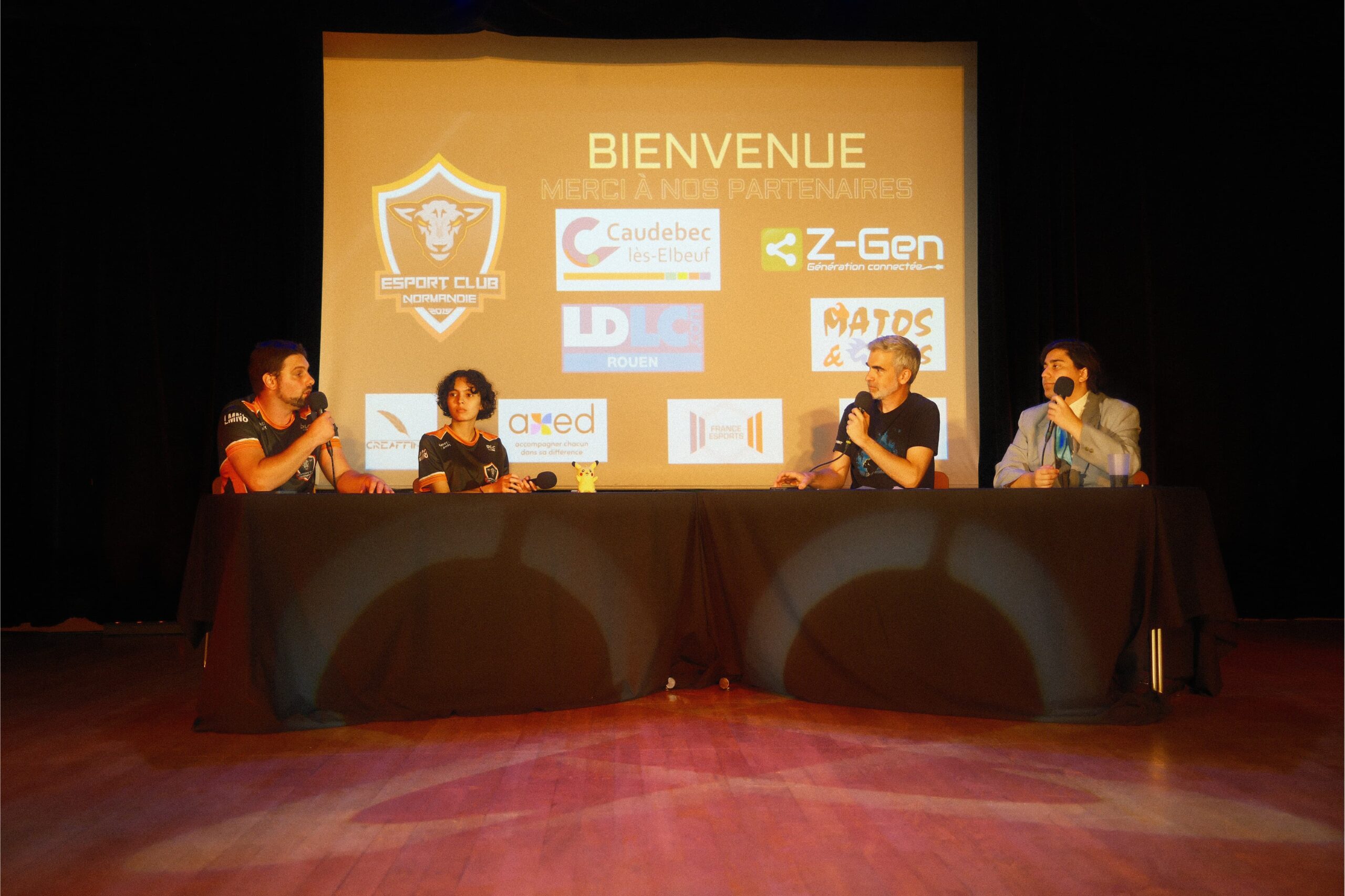 Animation Festival du Jeu Vidéo de Caudebec-lès-Elbeuf 2025