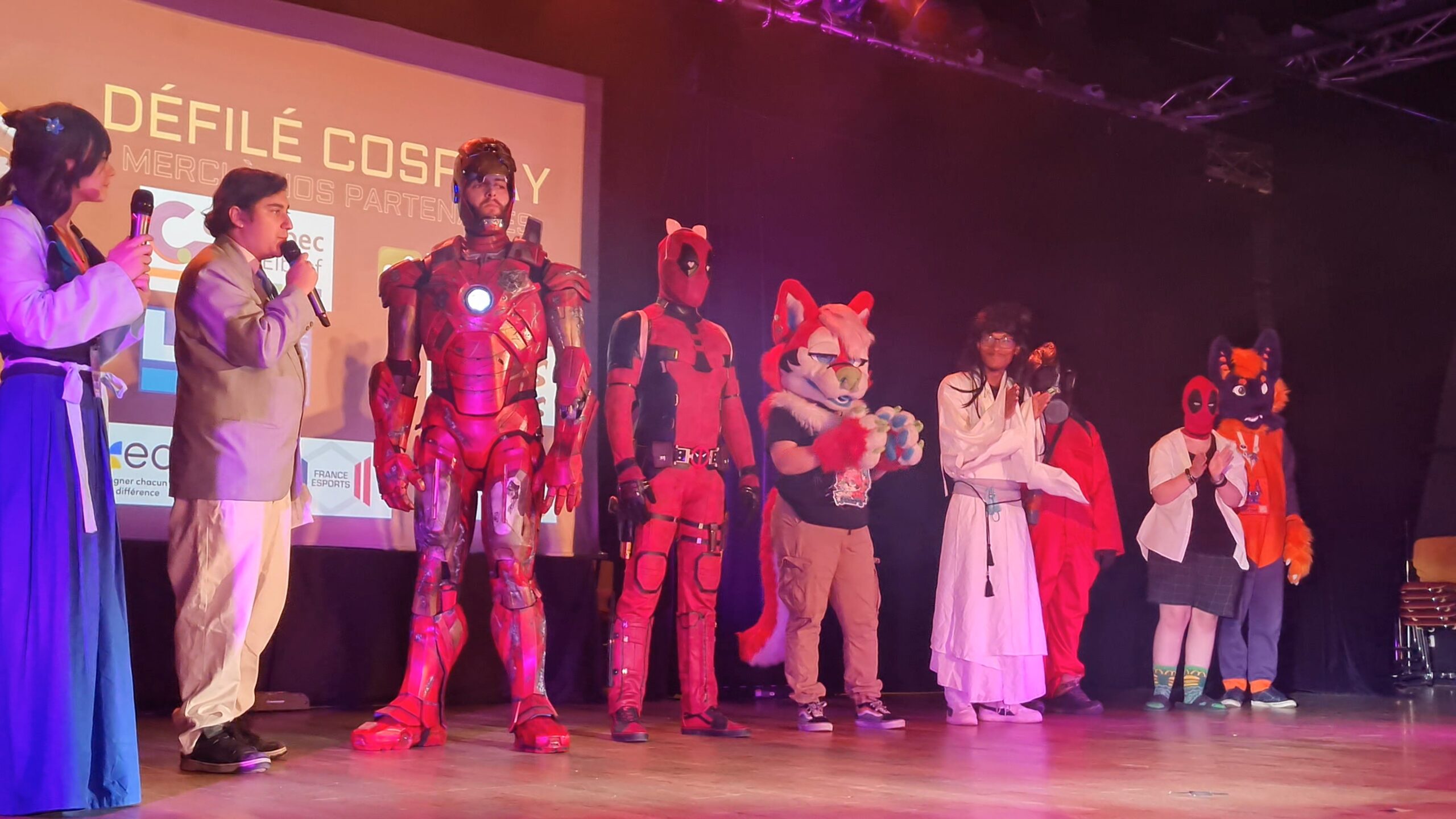 Animation Festival du Jeu Vidéo de Caudebec-lès-Elbeuf 2025