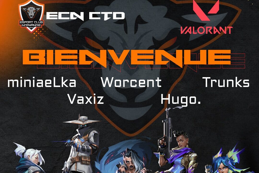 Line-up Valorant Contenders