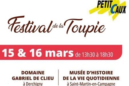 Affiche-Festival-de-la-Toupie