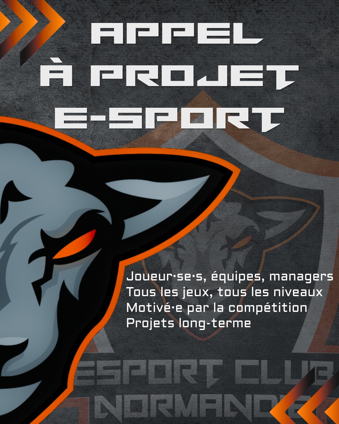 Appel à projets Esport